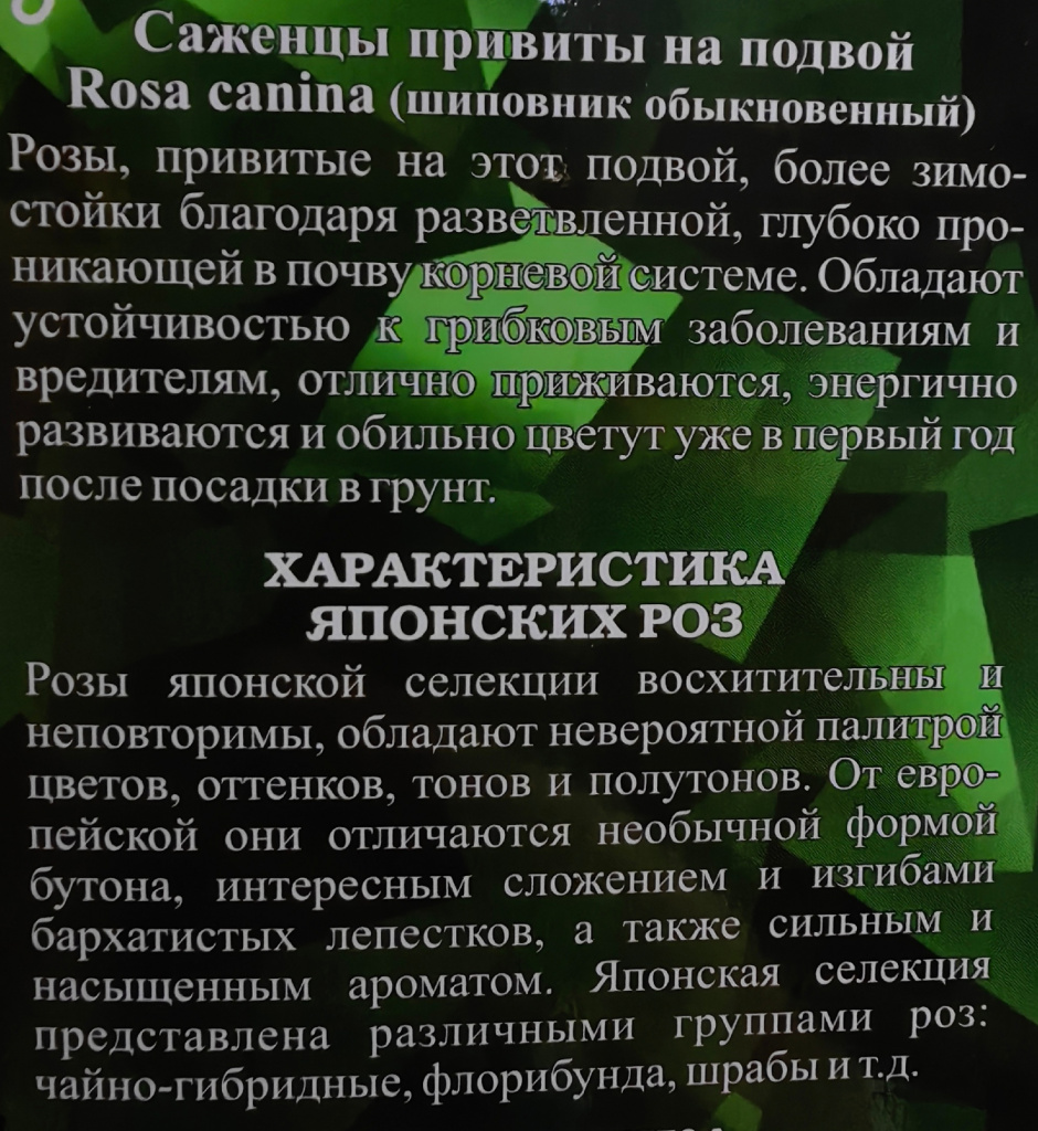 DMqdZpyYqy8.jpg