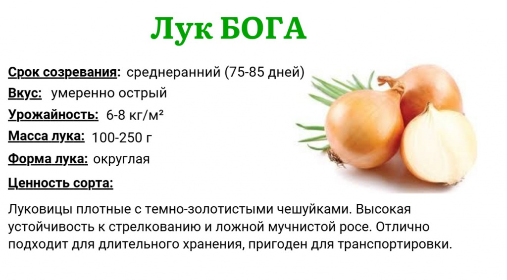 бога.jpg бога.jpg