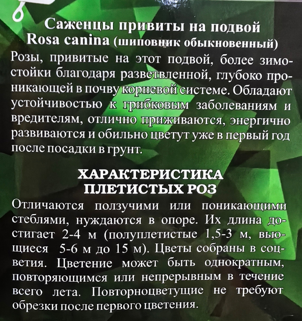 k0gh6TqIWHc.jpg