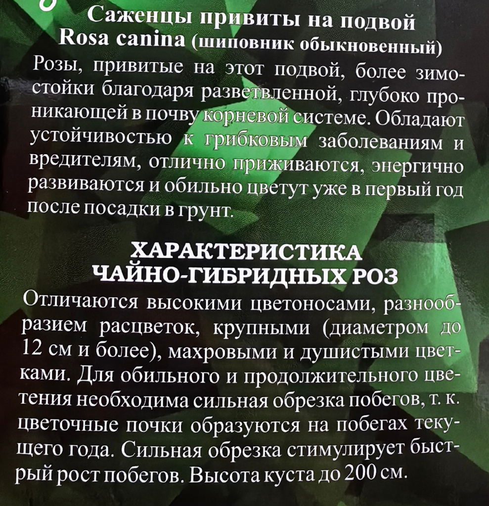 eGKca16ZeVA.jpg